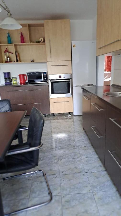 Daria Lorenzo Apartament Timisoara Exterior photo