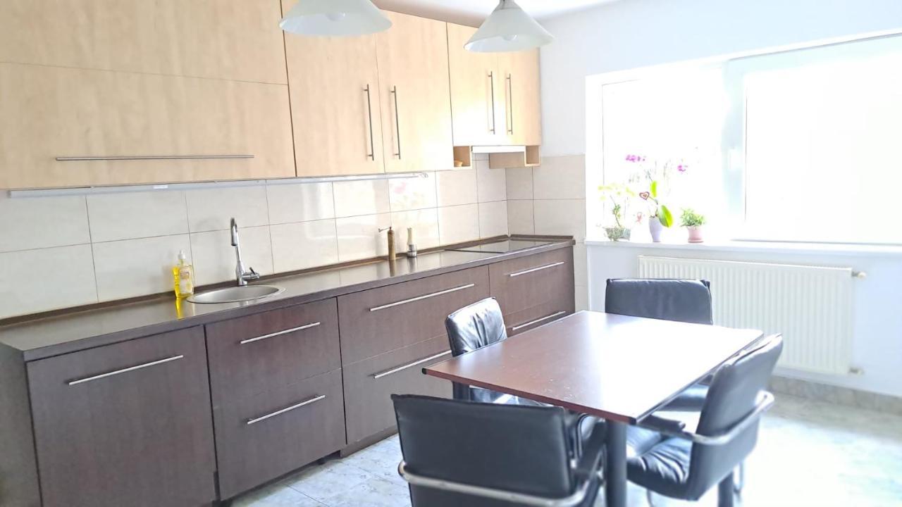 Daria Lorenzo Apartament Timisoara Exterior photo